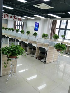 小型植物